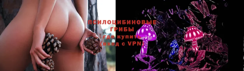 Псилоцибиновые грибы Psilocybe  Камышлов 